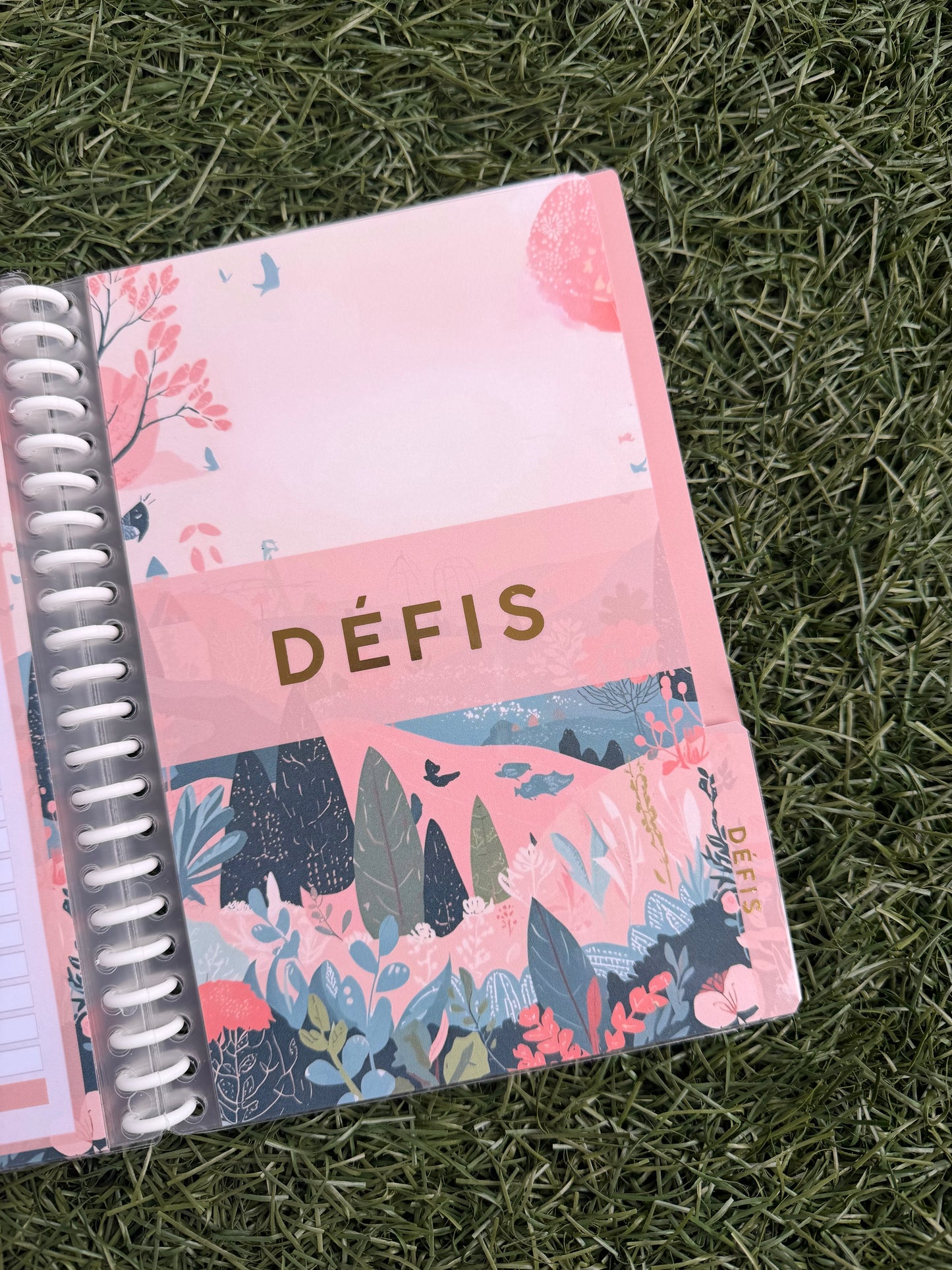 Mon journal d’argent – Livret Budget pour Suivi Dépenses, Épargne & Défis