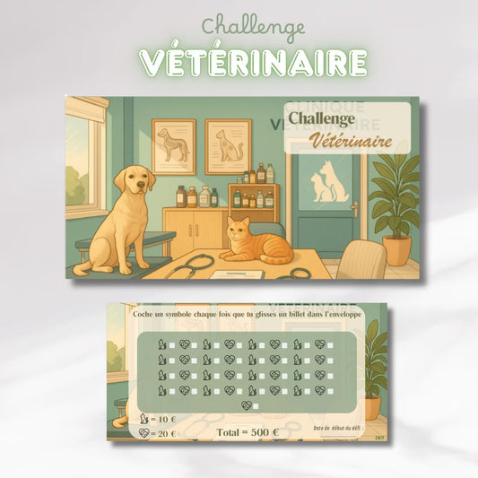 Challenge Vétérinaire - Tracker et page titre ou enveloppe a scratch