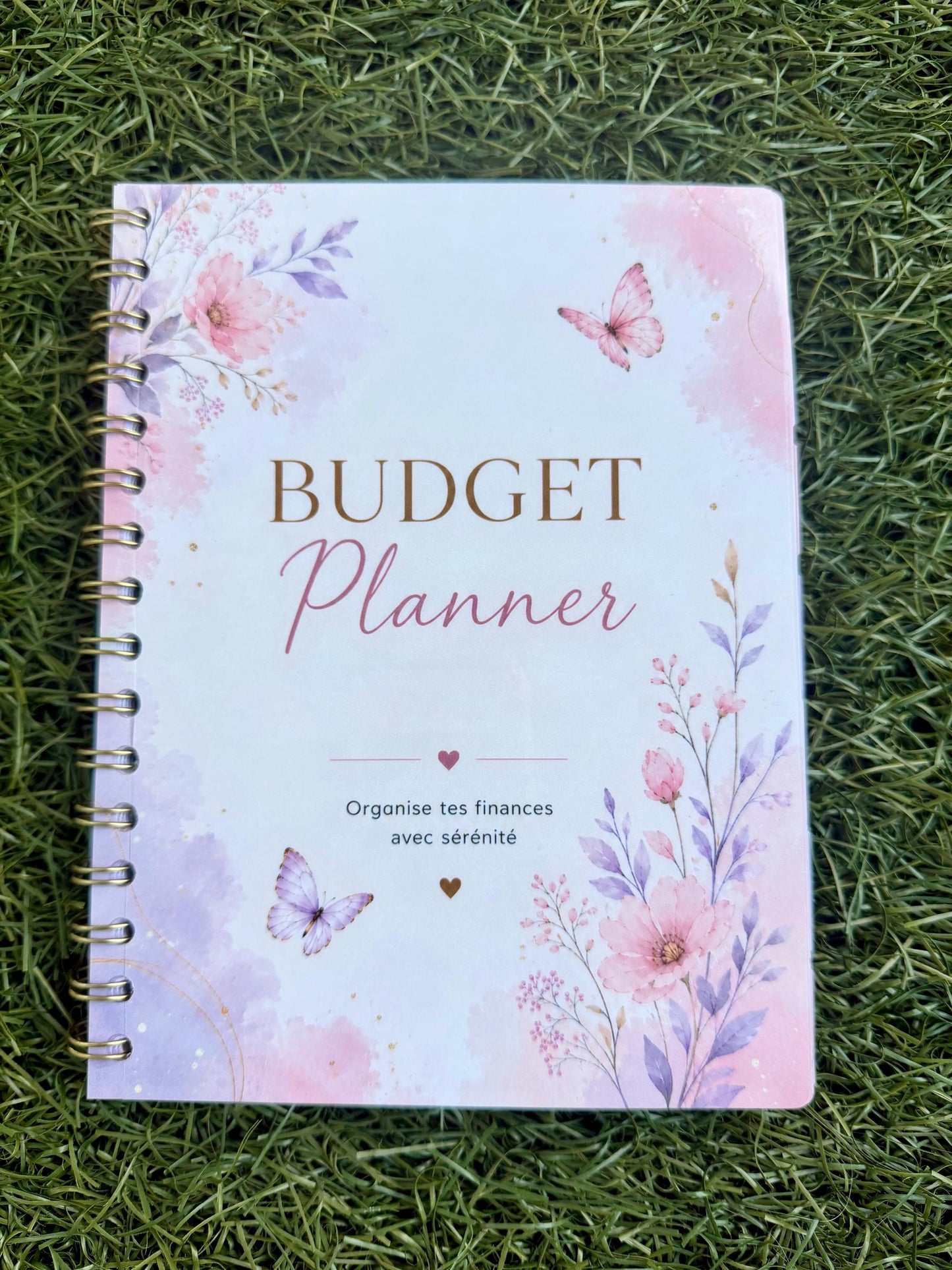 PDF à télécharger - Budget planner annuel complet
